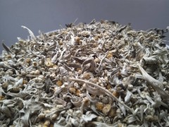 5 Kg 176.4 Oz Grass Common Wormwood Artemisia absint Dried Medicinal plant