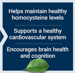 HOMOCYSTEINE RESIST HEART BRAIN VITAMINS B2 B6 B12 60 Vege Caps LIFE EXTENSION
