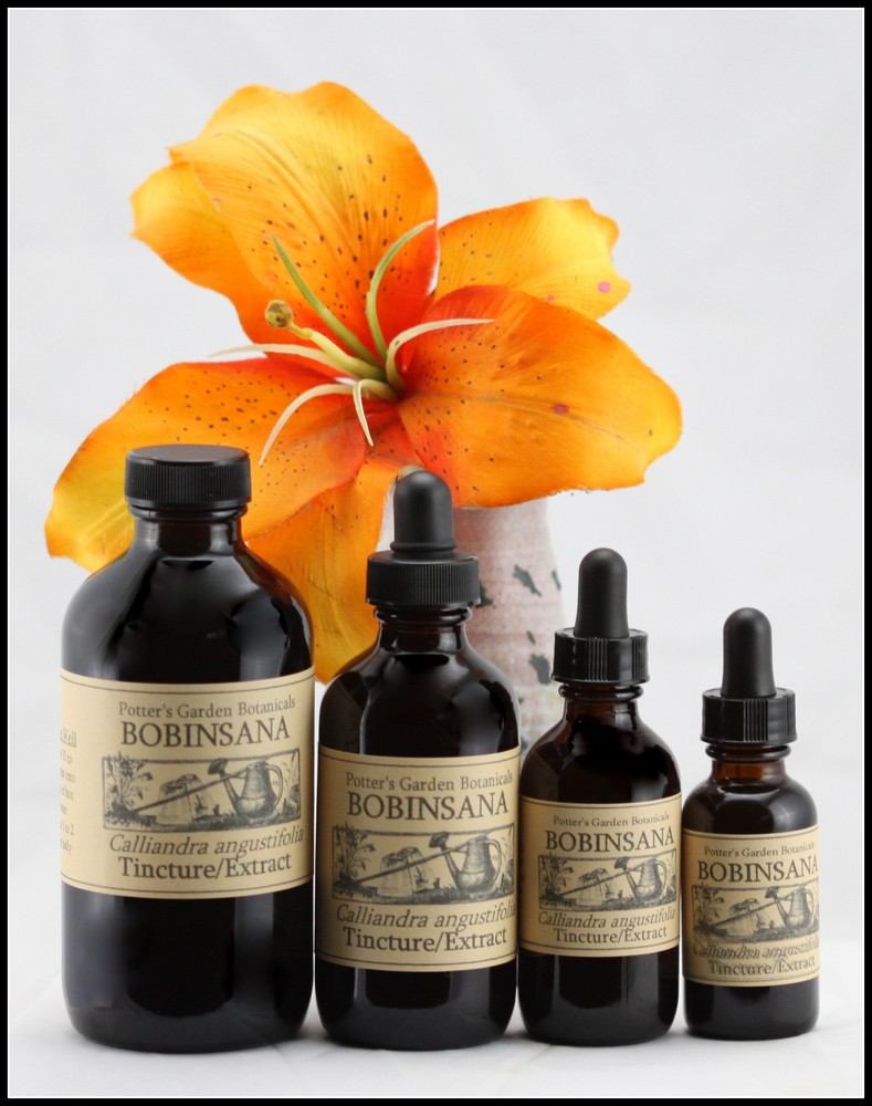 BOBINSANA Extract Heal Heart Open ~ Search Space Organic Folk Remedy Tincture ~