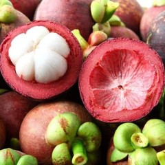 Skin Rejuvenation – MANGOSTEEN COMPLEX – Supporting Skin Health – 1B 60 Caps