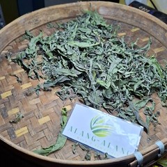 Daun Urang Aring ( Eclipta Prostrata ) False Daisy Dried Leaves