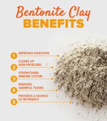 240 Bentonite Clay & Activated Charcoal Capsules – Detox, Internal Cleanser