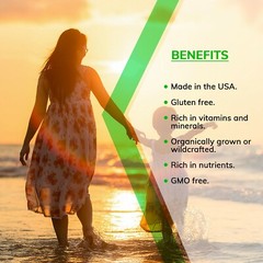 Secrets Of The Tribe Boneset Tincture Alcohol-FREE