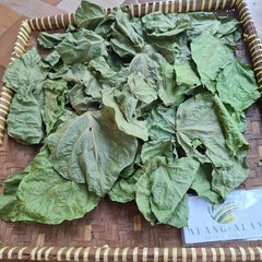 Daun Dadap (Erythrina variegata) Coraltree Dried Leaves