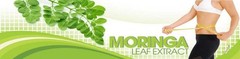 immune support new chapter – MORINGA OLIEFERA 1200MG 1B – moringa oleifera plant