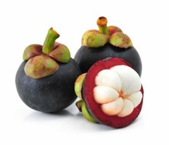 240 CAPSULES MANGOSTEEN Garcinia Mangostana Mangustan Organic Wild Crafted Herbs