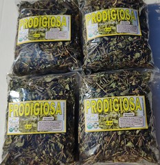 Prodigiosa, Amula herb, Organic Prodijiosa Wild Crafted Mexican Herbs 8oz !!!