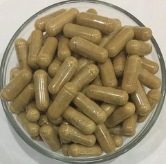 Asparagus Racemosus (Shatavari) Extract Powder 40% Saponins Pure& high quality