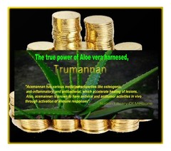 Trumannan Extra 40 % Acemannan Aloe Vera Inner Gel Extract Powder