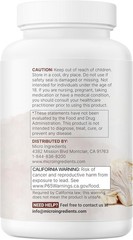 Daily Cognitive Support: 240 Lion’s Mane Extract Capsules with L-Ergothioneine