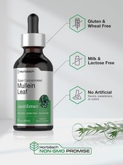 Mullein Leaf Extract Drops Alcohol Free 2 fl oz