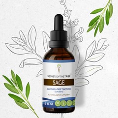 Secrets Of The Tribe Sage Tincture Alcohol-FREE