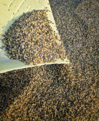 Kelp Granules or Powder | Natural Iodine-Rich SeaweedThyroid Support | 1/4/8 OZ