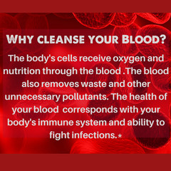 Natural Blood Cleanser Supplement (2 Fl oz Drops) SpeedyVite®