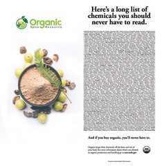 Organic Amla Powder – 1.1 lbs or 17.54oz | Amalaki, USDA 17.54 Ounce