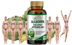 120 Artichoke Seeds EXTRACT SLIMMING DIET Keto Diet Pills Advanced Weight Loss
