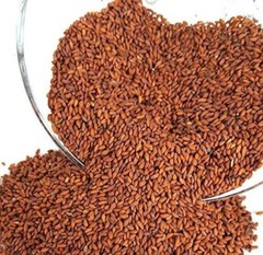 Garden Cress Seeds 350g – Organic Lepidium Sativum – Halim Aliv حب رشاد