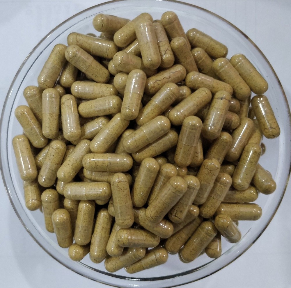 ORGANIC Bitter Melon Fruit 20:1 Extract Capsules Momordica Charantia
