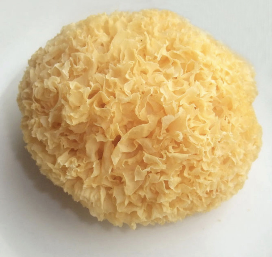Organic WHOLE TREMELLA MUSHROOM FRUITING BODIES Bai Mu Er SNOW FUNGUS fuciformis