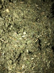 Marshmallow + Damiana + Mullein Organic Wild Crafted Medicinal Mix – 4 oz ounces