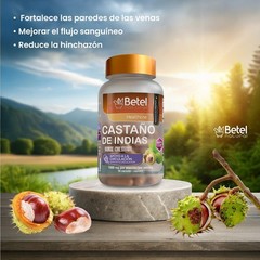 Premium Castano de Indias Para la Circulacion 1500 mg – Horse Chestnut 90 Caps