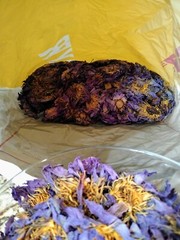 Organic Whole Blue Lotus Flowers Nymphaea Caerulea 10g/20g Dried Sacred Flower