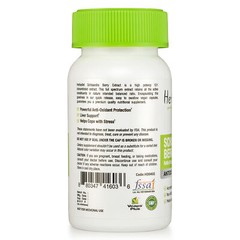 Schizandra Berry 10:1 Extract Capsules Schisandra Chinesis Schisandrins Detox