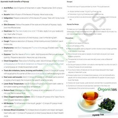 Hyssop Herb Organic Dried Cut Hysoppus Officinalis Wild Crafted from Europe