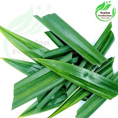 Pandan Leaves ground powder Dried Organic Pandanus amaryllifolius Screwpine herb