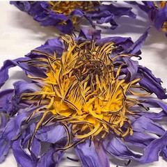 Dried Blue Lotus Flower | Nymphaea Caerulea | 100% Organic Natural Herbal Tea