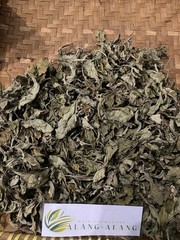 Sembung Kuwuk (Blumea lacera) Dried Leaves