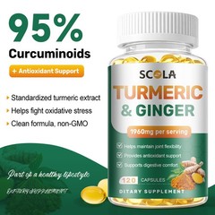 TURMERIC 95% CURCUMIN 120 CAPSULES EXTRACT TUMERIC BLACK PEPPER ANTIOXIDANT BEST