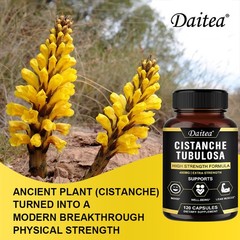 Organic Cistanche Tubulosa High Potency Support Muscle Mass 30/60/120 Capsules