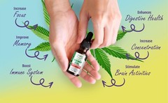 Strong Hemp Oil (5-Pack) Made In USA | Sleep, Pain, Relax, Wellness, Works Fast