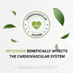 Secrets of the Tribe Artichoke USDA Organic | Alcohol-Free Extract, High-Potency