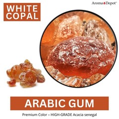 1 oz Frankincense Myrrh Copal 3 kings Arabic Gum Opoponax Dragon Blood Pea Resin