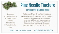 Pine Needle Tincture~Blood-Liver Detox, Brain Function, Inflammation & Infection