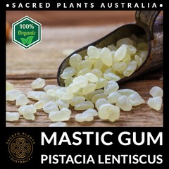 MASTIC GUM Resin 25g Tears of Chios | Pistacia Lentiscus Sacred Shaman Medicinal