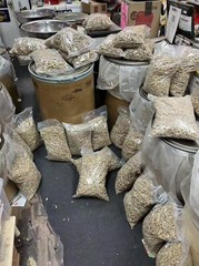 1LB Per Bag Authentic Wisconsin Ginseng Tails正宗美國威斯康辛州花旗参尾参粒参脚参碎(1磅装)-U.S Seller