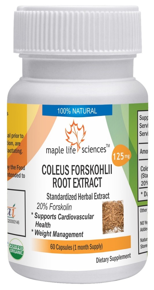 Coleus Forskohlii Extract 20% Forskolin Pure & High Quality Powder