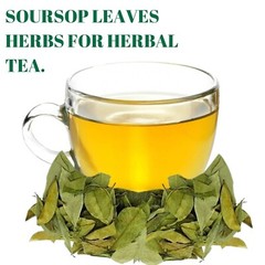 Soursop leaves, Natural Graviola, Hojas de guanabana, tea Soursop