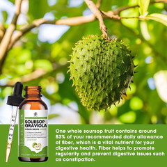 1-3x Soursop Graviola Extract Liquid Drop Immune Digestive Support & Antioxidant