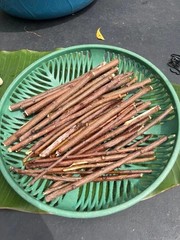 Ayurvedic Natural Organic Neem Datun Toothbrush Tree Twigs Chew Sticks 100 Pcs