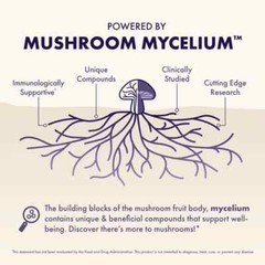 Host Defense MycoBotanicals Brain 60 Veg Capsules Fungi Perfecti