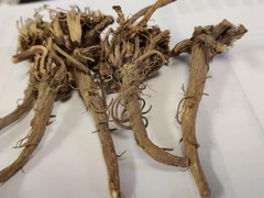 Safed Musli, Kaunch Beej,Ashwagandha,Shatavari,Gokhru,Akarkara 25gram eachwhole