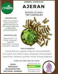 CAPSULE Bidens Pilosa / Beggar’s Tick /Ajeran Natural Organic Herbal Fresh Herbs