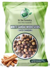 White Sandalwood Seeds indian sandalwood chandan Sriganda Tree – 250 g / 400g