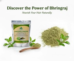 Bhringraj Powder Pure Organic Herbal for Hair Growth & Scalp (50 GM to 1000 GM)
