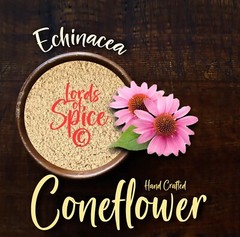 Echinacea Tea – Purple Coneflower – Classic Immune Support Herb – USA