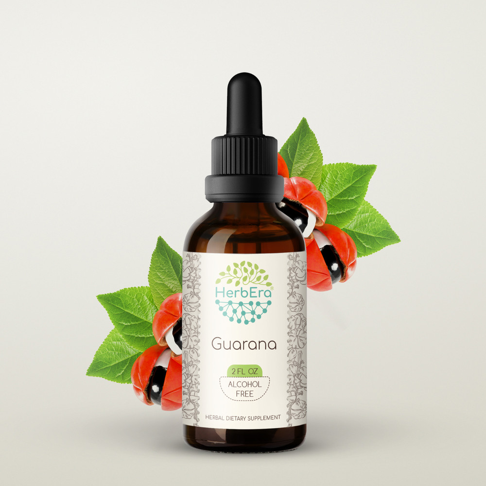 HerbEra Guarana Alcohol-FREE Herbal Tincture, Organic (Paullinia cupana)